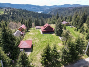 Cabana Transilvania